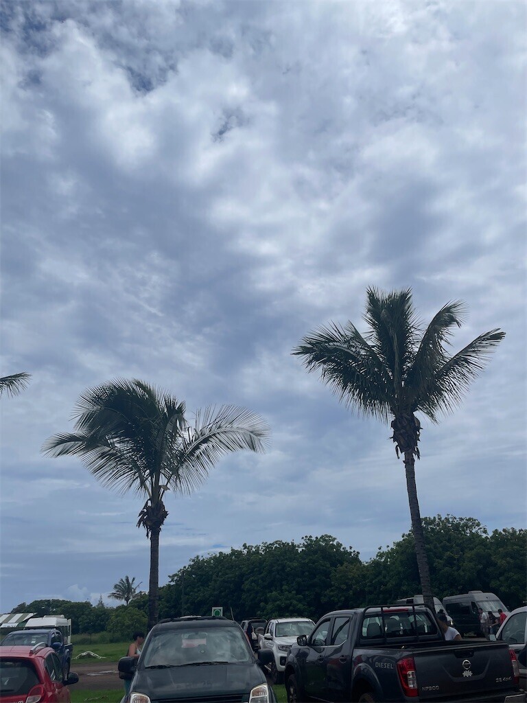 f:id:cassini:20240210081537j:image
