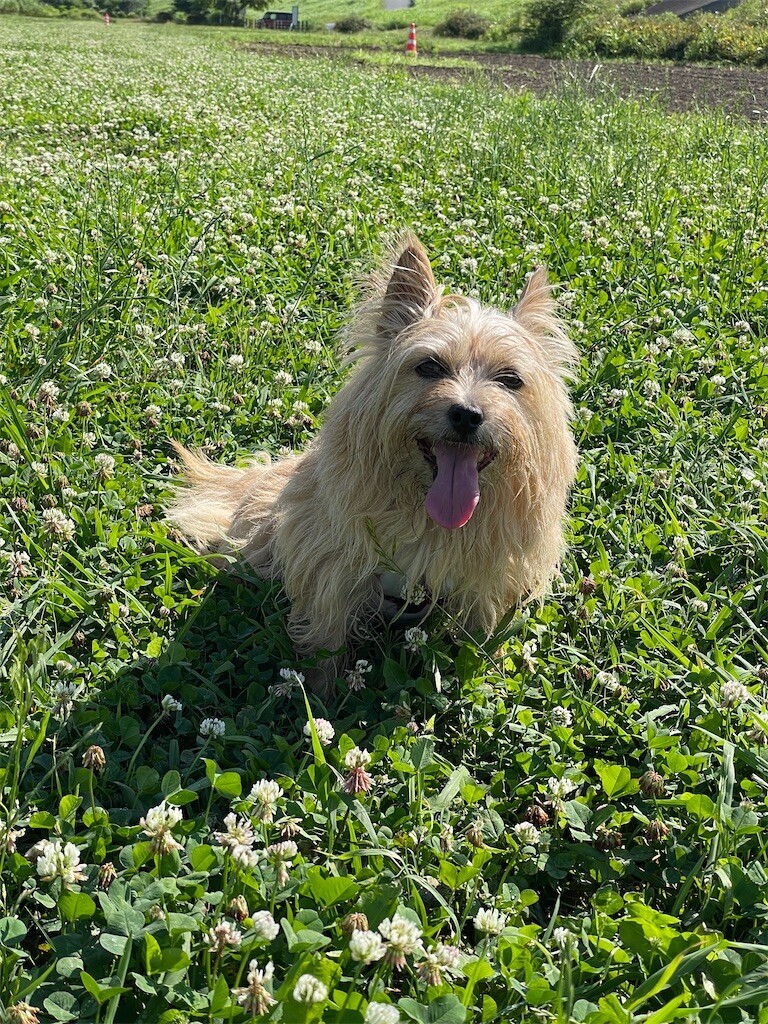 f:id:cassini:20240624202813j:image f:id:cassini:20240624202813j:image