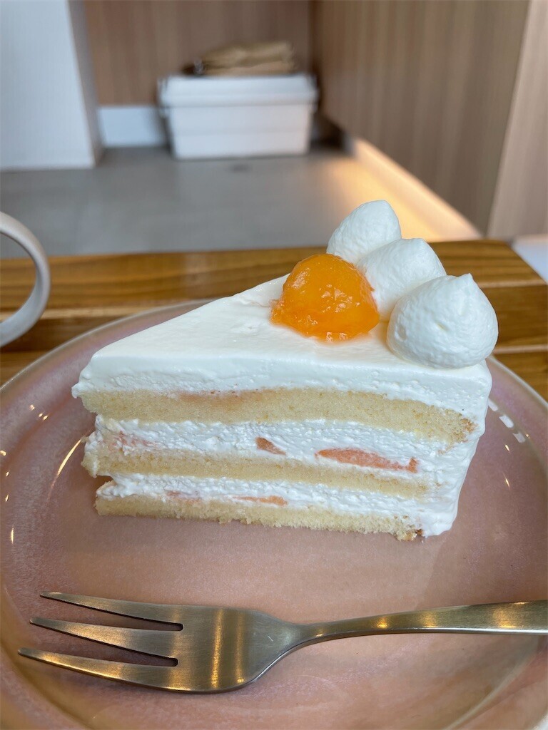 f:id:cassini:20240624202844j:image f:id:cassini:20240624202844j:image