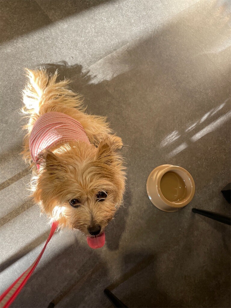 f:id:cassini:20240708203135j:image