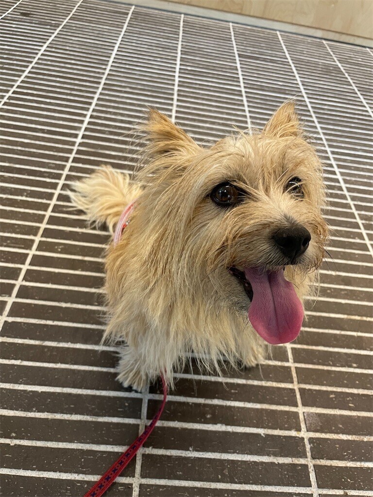 f:id:cassini:20240708203236j:image