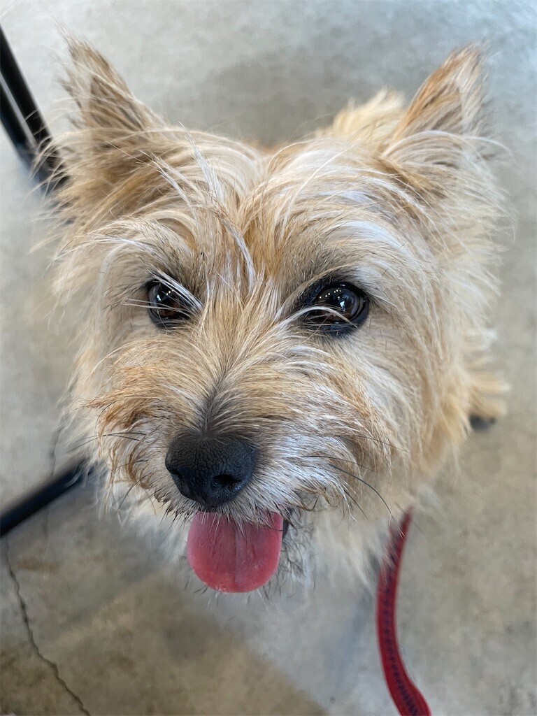 f:id:cassini:20240708203305j:image