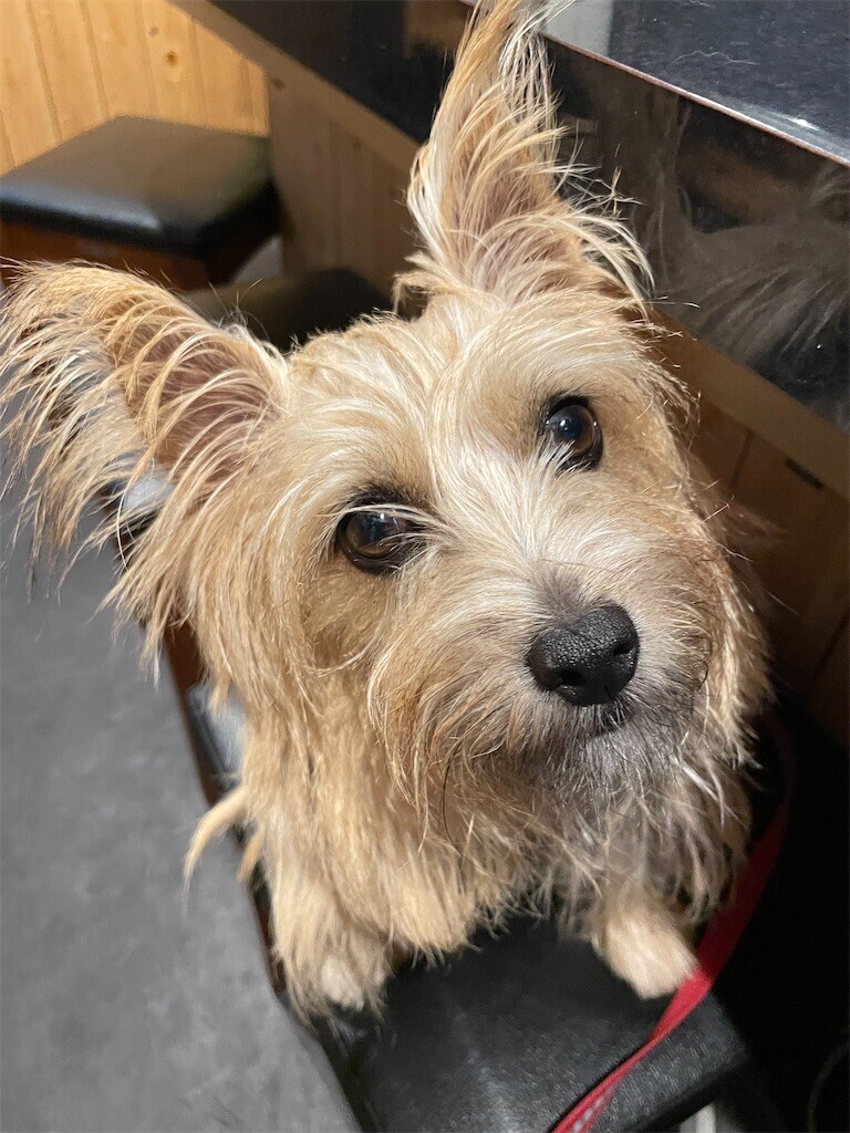 f:id:cassini:20240925214630j:image