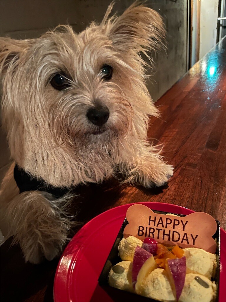 f:id:cassini:20240925214718j:image