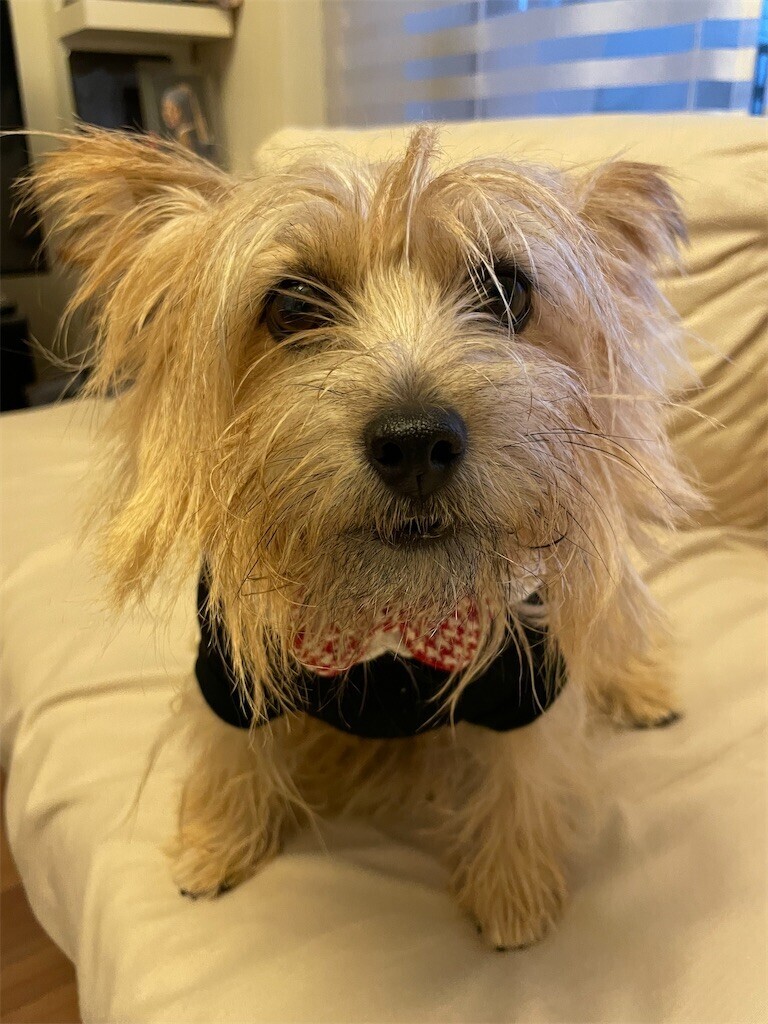 f:id:cassini:20240925214756j:image