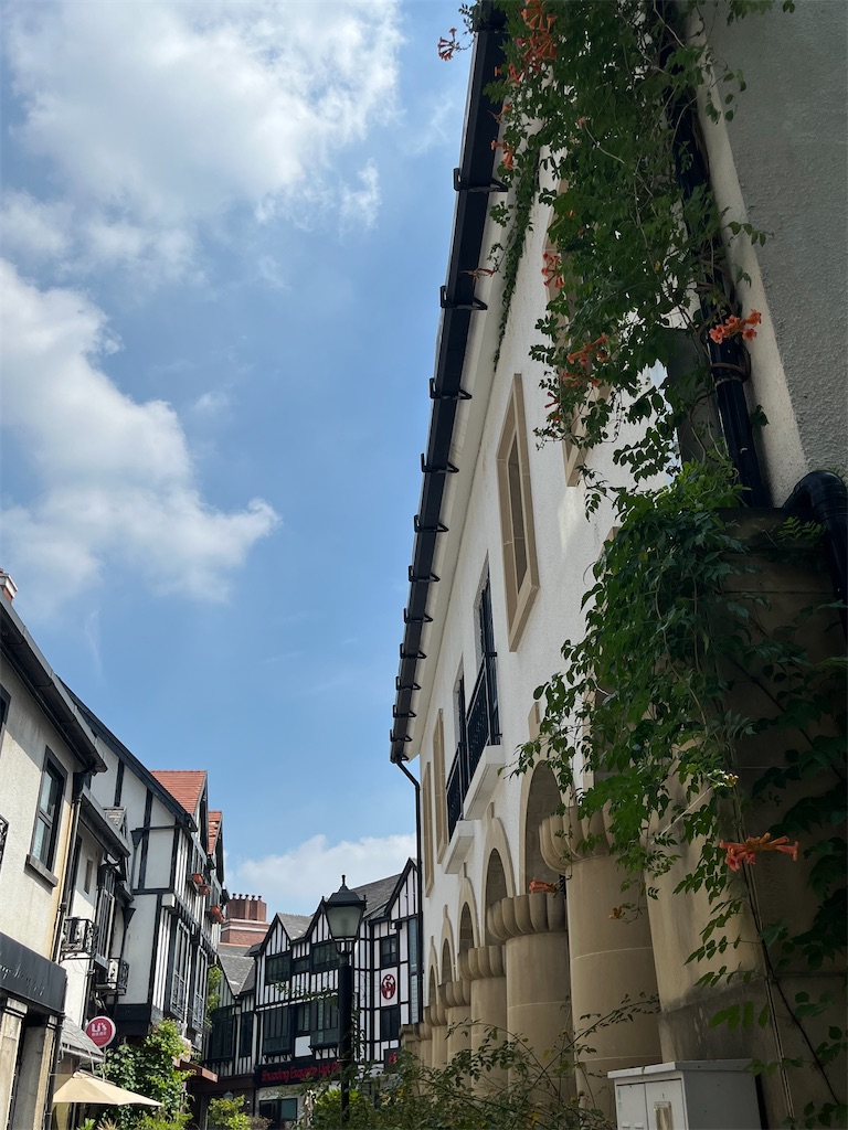 f:id:castle_town:20240805120736j:image