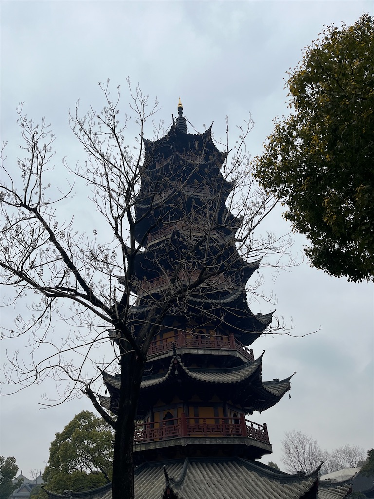 f:id:castle_town:20250202160652j:image