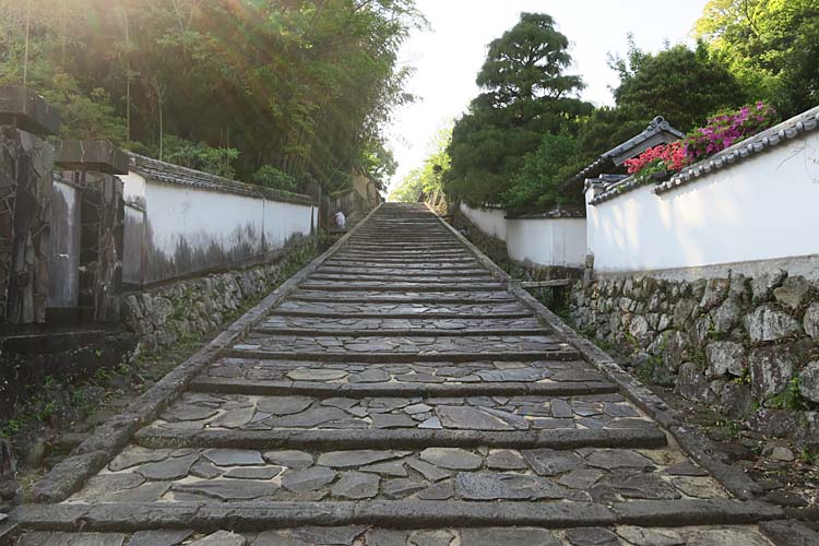 f:id:castle_walk:20191026230537j:plain f:id:castle_walk:20191026230537j:plain