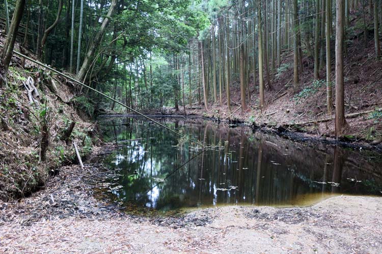 高取城　水堀