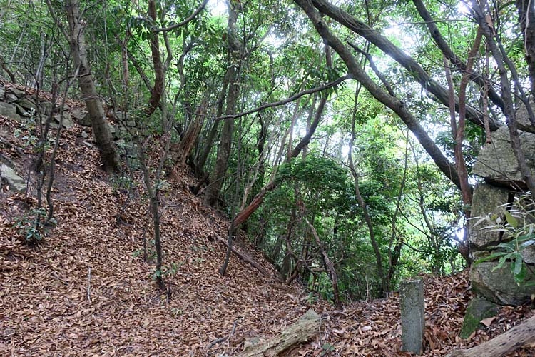 高取城 堀切