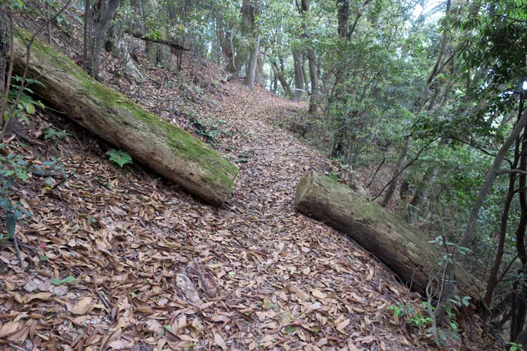 高取城 林道
