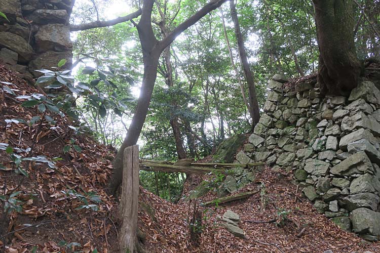 高取城 弥勒堀切