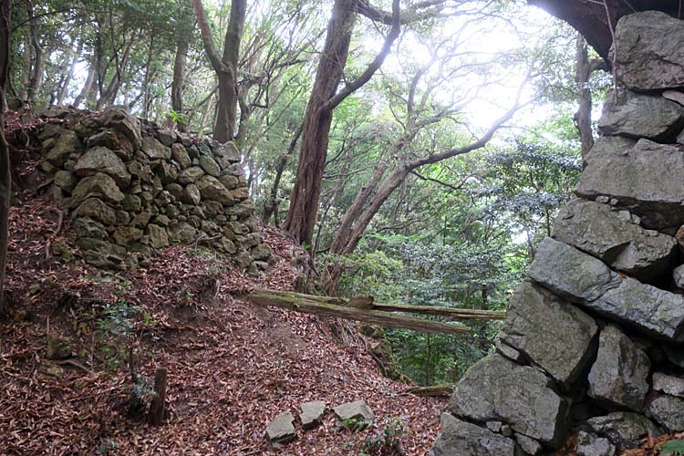 高取城　弥勒堀切