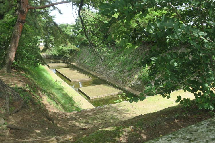 日出城　本丸石垣と空堀