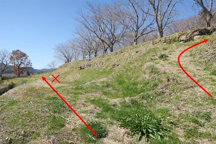 日野江城