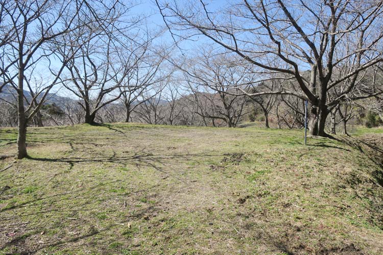 日野江城