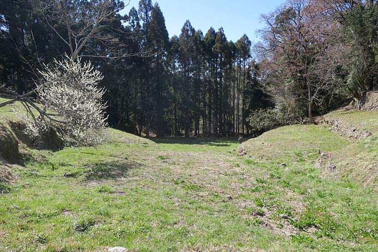 日野江城