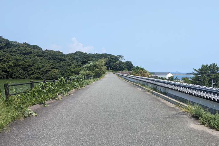 富岡城 百間土手の上部道