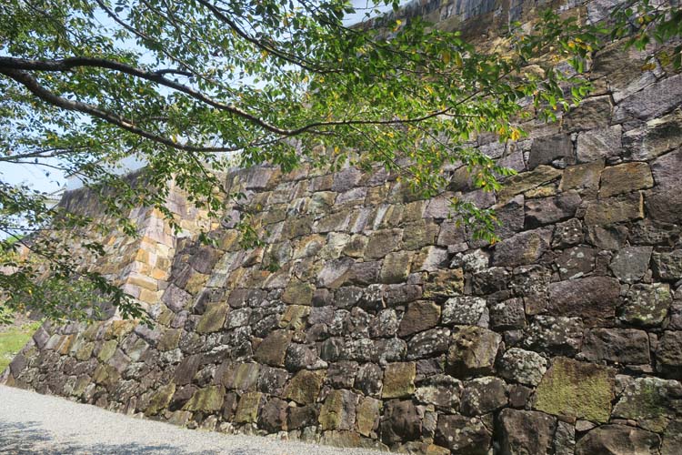 富岡城 二の丸西側石垣