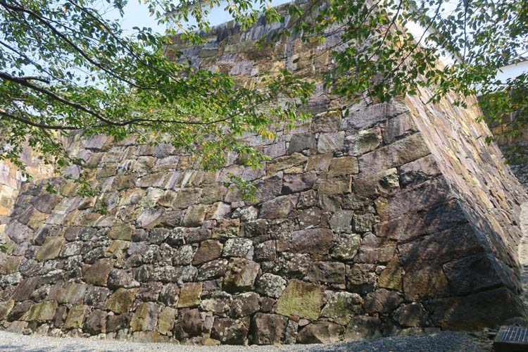 富岡城 二の丸西側石垣