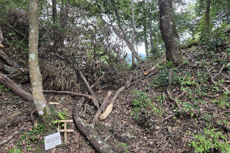 津和野城　堀切跡