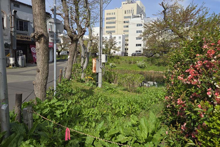 盛岡城　下曲輪　堀