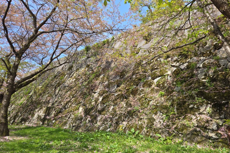 盛岡城　本丸東面石垣