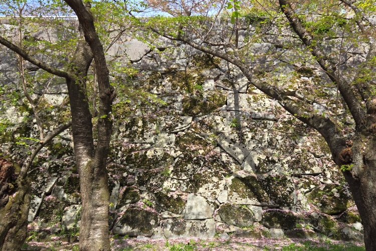 盛岡城　本丸東面石垣