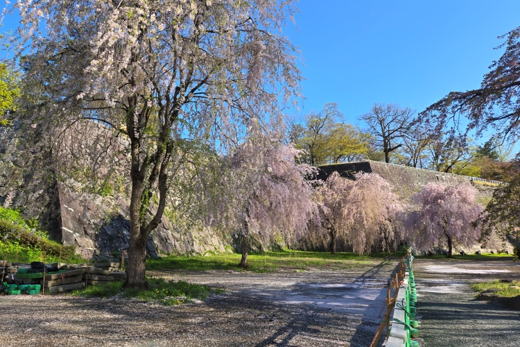 盛岡城　三の丸西面石垣