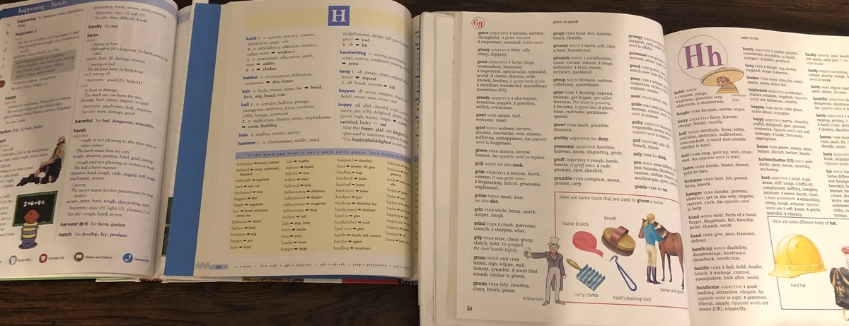Thesaurus(類語辞典)探し - 日米中3か国4都市生活 バイリンガル日記