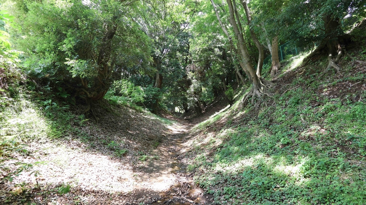 小峯御鐘ノ台大堀切東堀