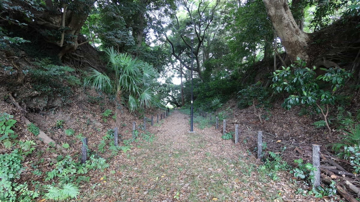 土塁と大堀切が残る掛川古城跡の現地風景