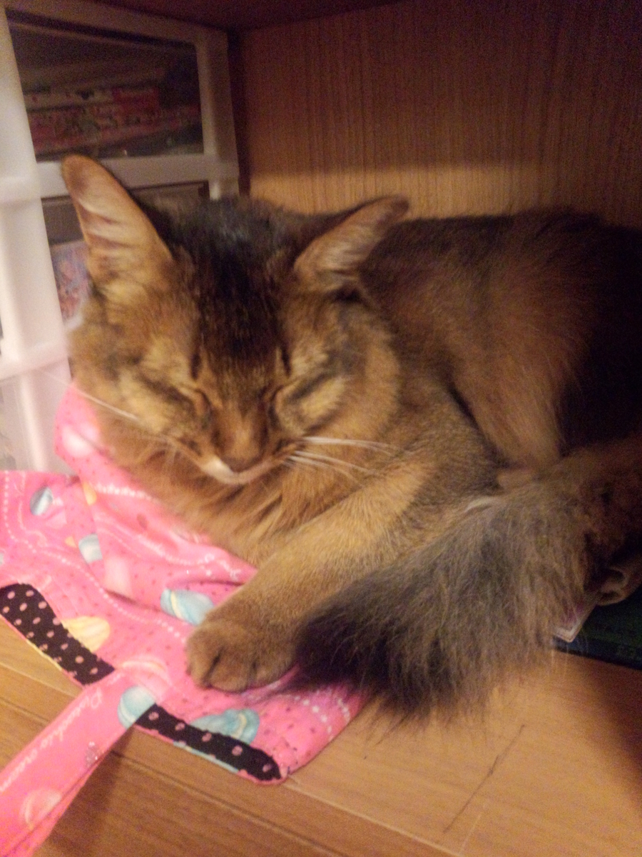 f:id:cat-cat-48:20200723072323j:plain f:id:cat-cat-48:20200723072323j:plain