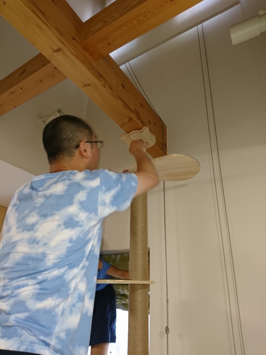 cat towerを組み立てる