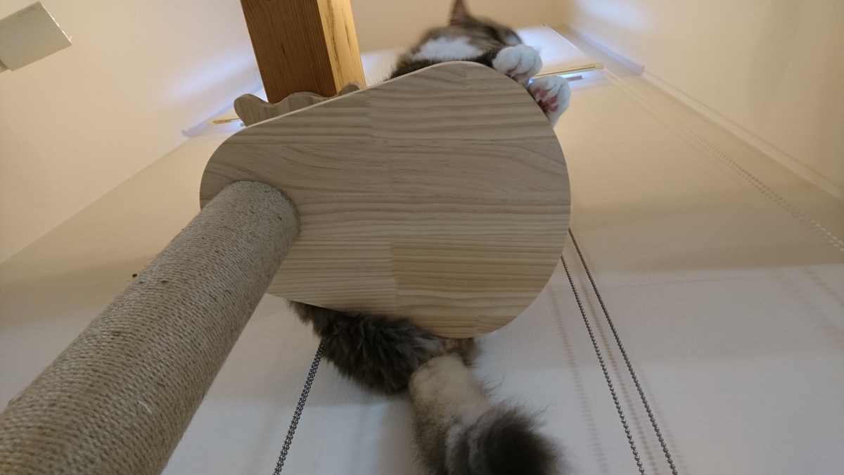 cat towerの上で寝そべる猫、お尻もすっぽり