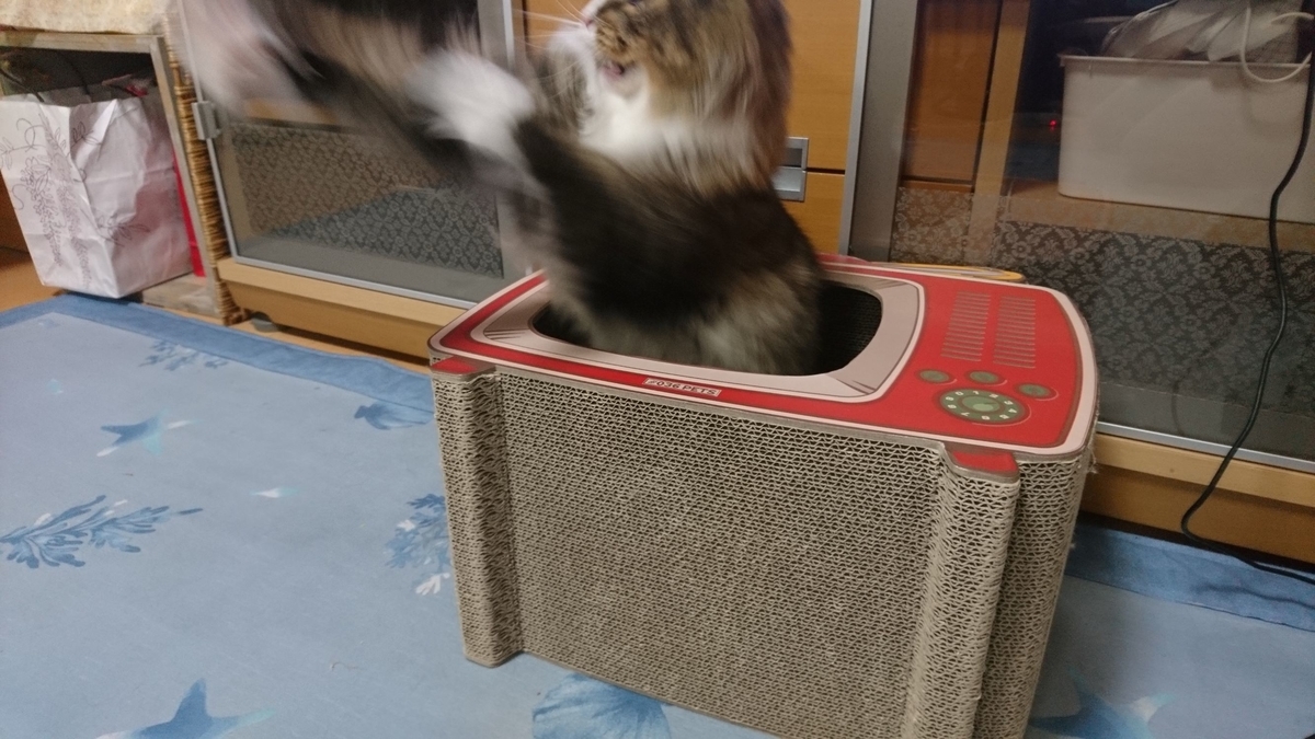 ザクとは違うのだよ、ザクとは!、トト