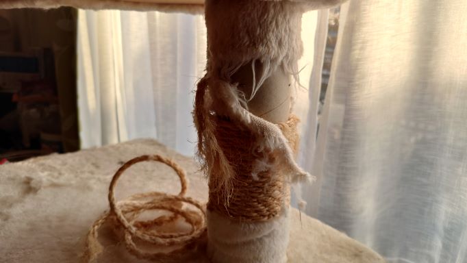 メンテナンス前のぼろぼろの猫の爪とぎ2