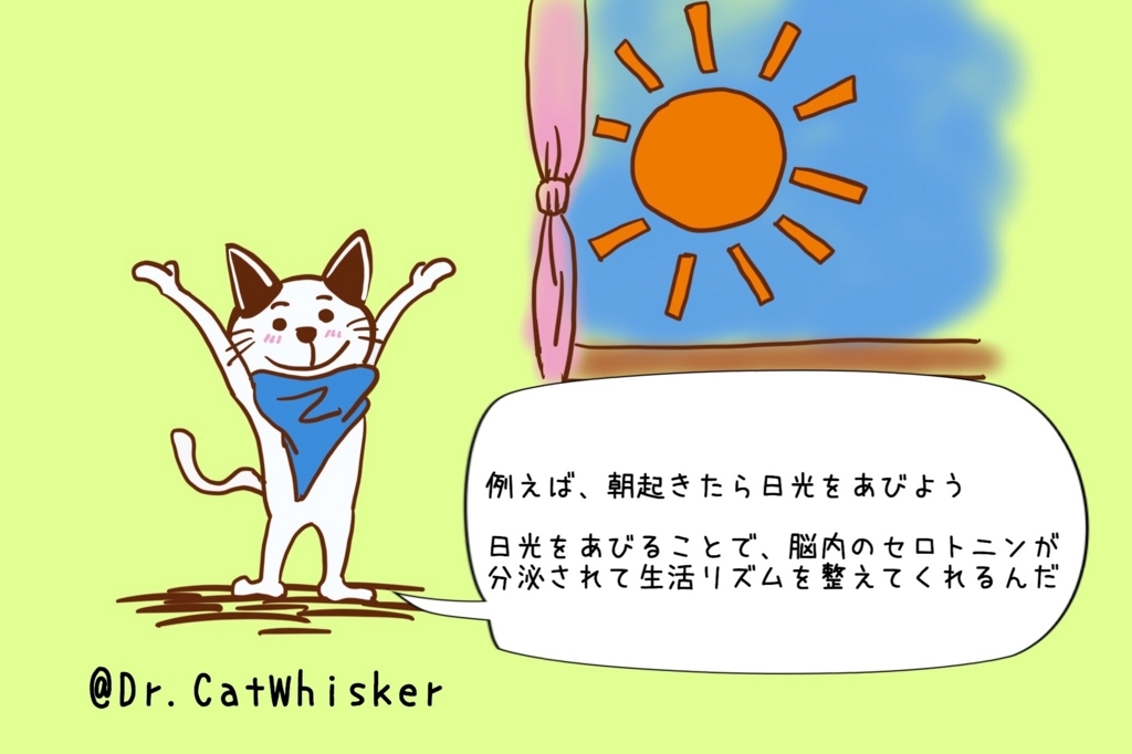 f:id:cat-whisker:20170804231125j:plain