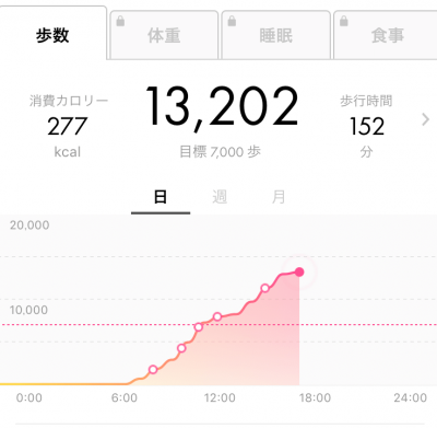 この日は13,000歩以上歩いてました！