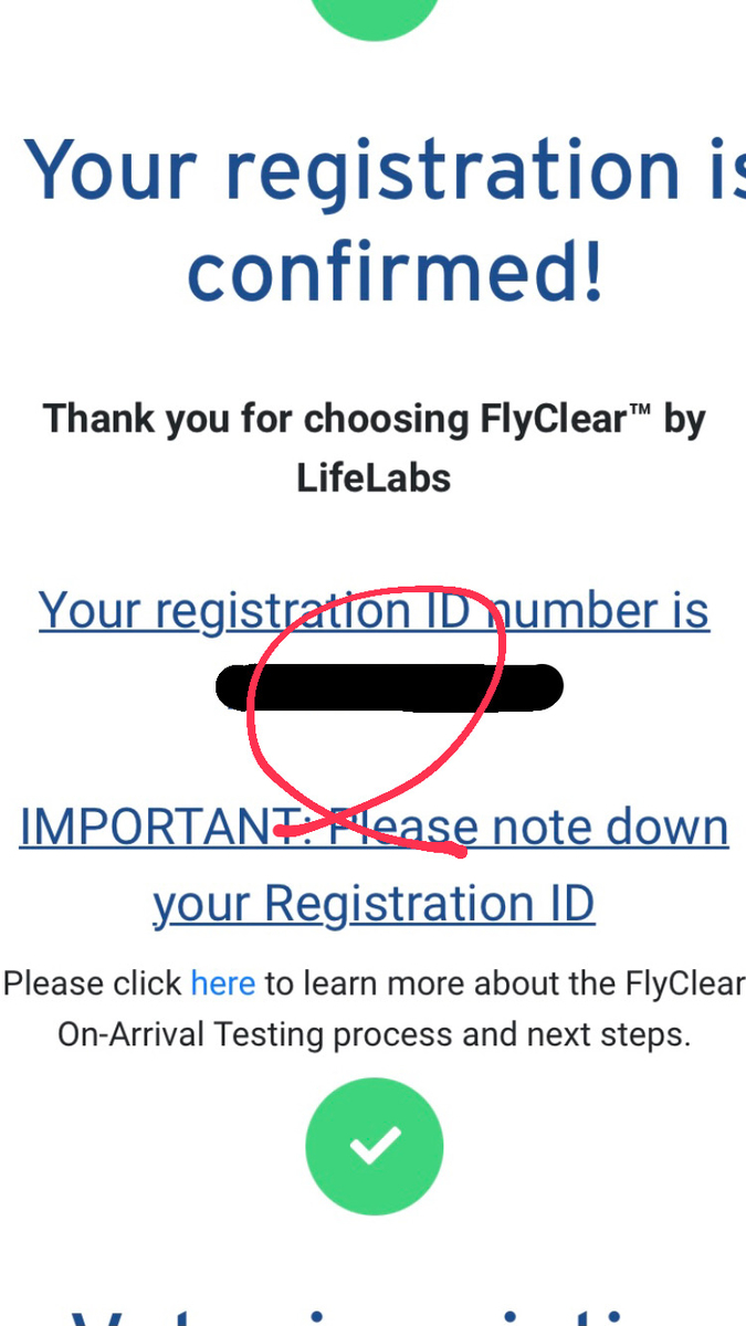 f:id:cat2chi:20210512025417j:plain