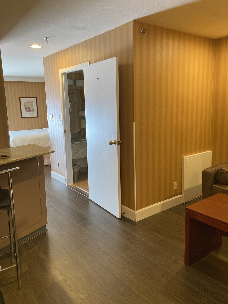 f:id:cat2chi:20210513022209j:plain