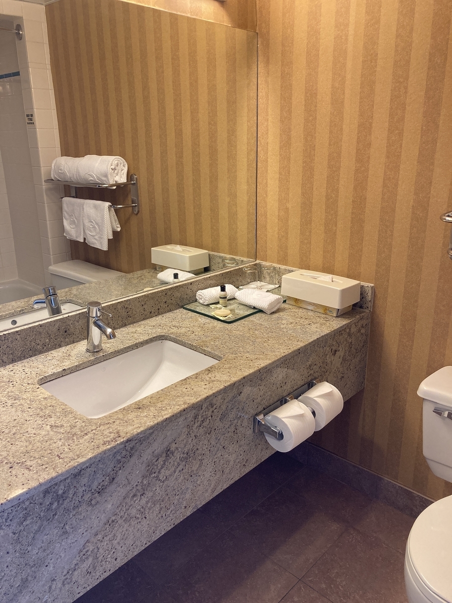 f:id:cat2chi:20210513022855j:plain