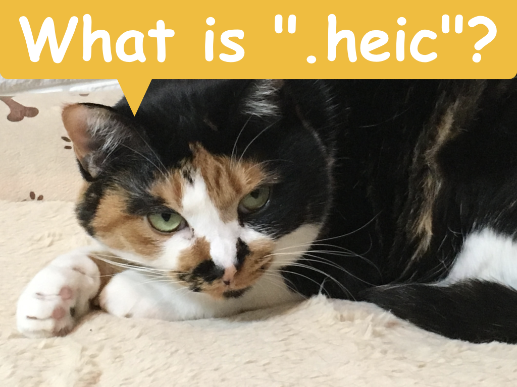 f:id:cat_akira:20180507000003p:plain f:id:cat_akira:20180507000003p:plain