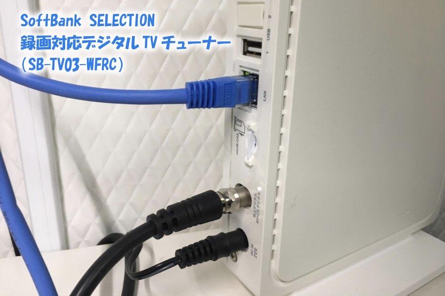 f:id:cat_akira:20190211232955j:plain f:id:cat_akira:20190211232955j:plain