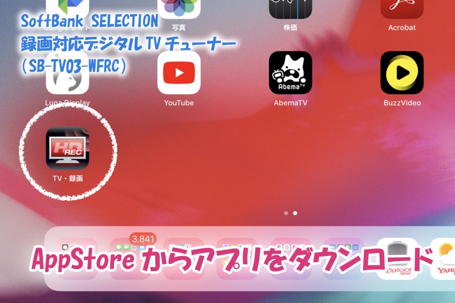 f:id:cat_akira:20190211233337j:plain f:id:cat_akira:20190211233337j:plain