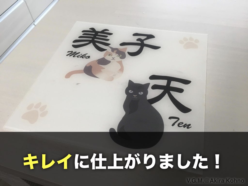 f:id:cat_akira:20190519155113j:plain f:id:cat_akira:20190519155113j:plain