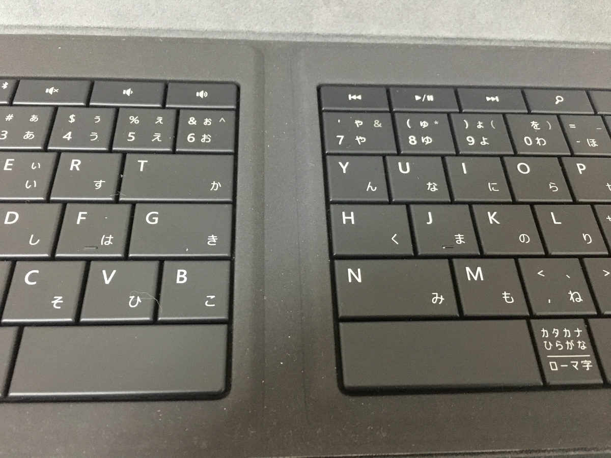 f:id:cat_akira:20200328200039j:plain f:id:cat_akira:20200328200039j:plain