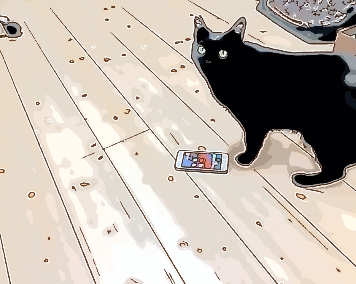 f:id:cat_akira:20200418175307j:plain f:id:cat_akira:20200418175307j:plain