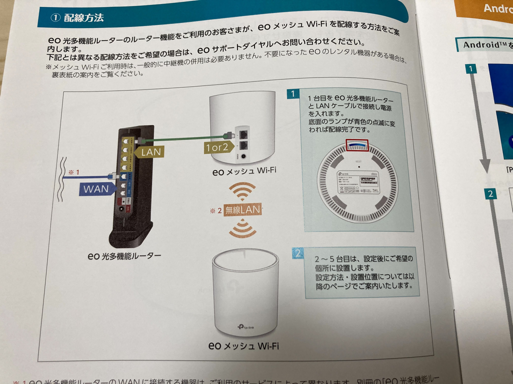 f:id:cat_akira:20210123231444p:plain