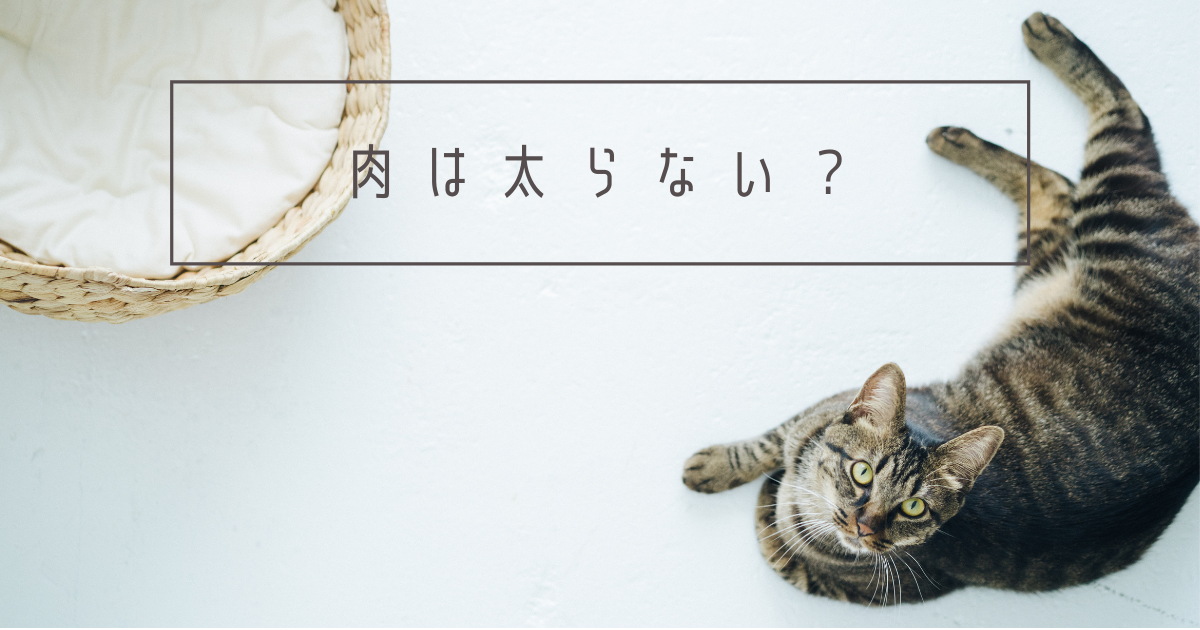 f:id:cat_cut:20210917191339p:plain